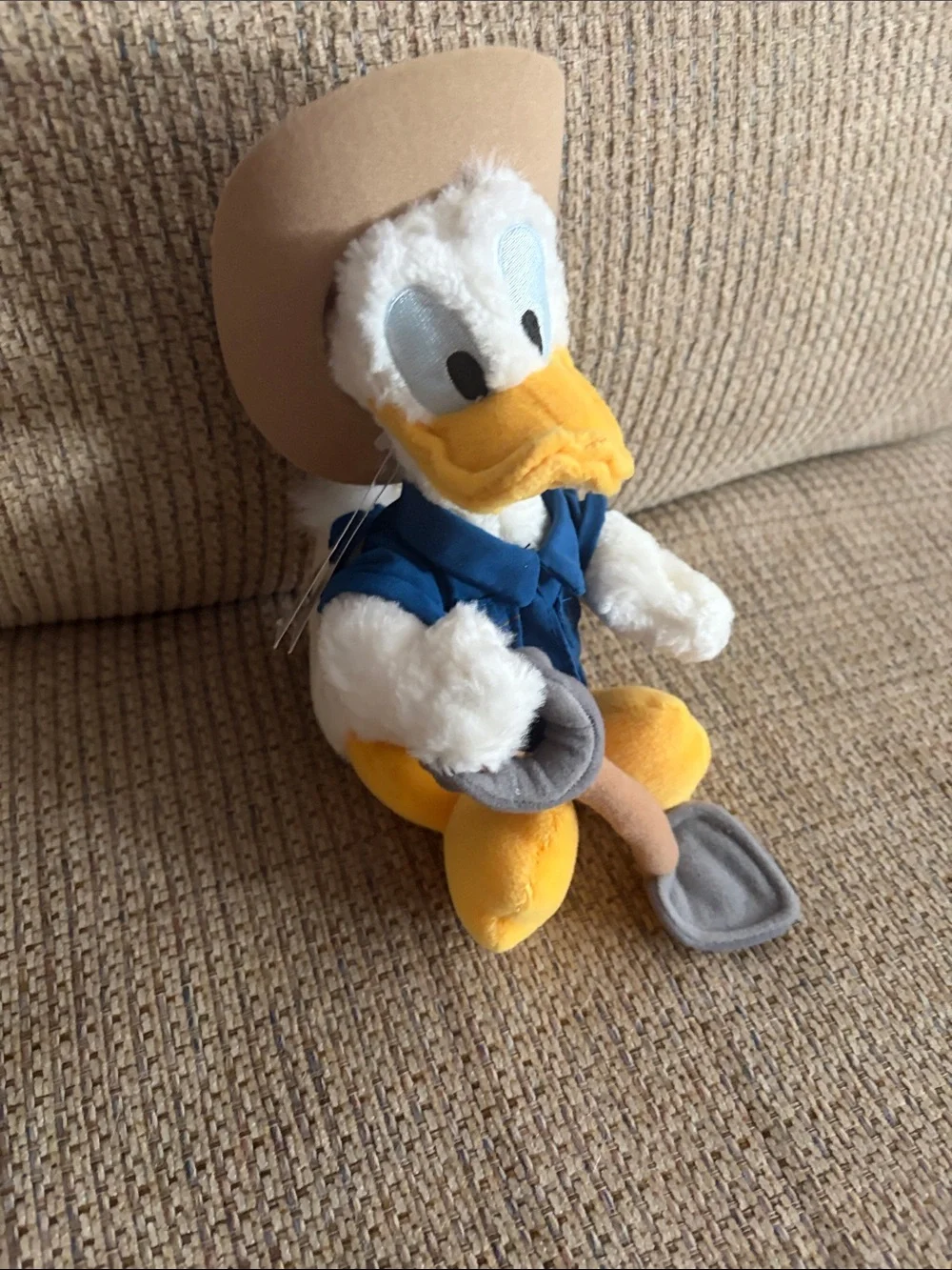 Disney Donald Paleontologist
